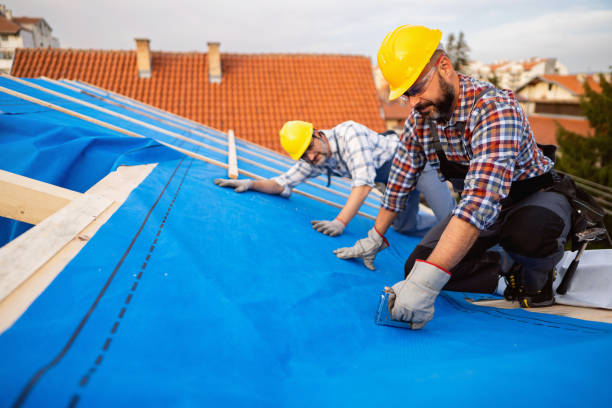 Best Emergency Roof Repair  in Sylvania, GA